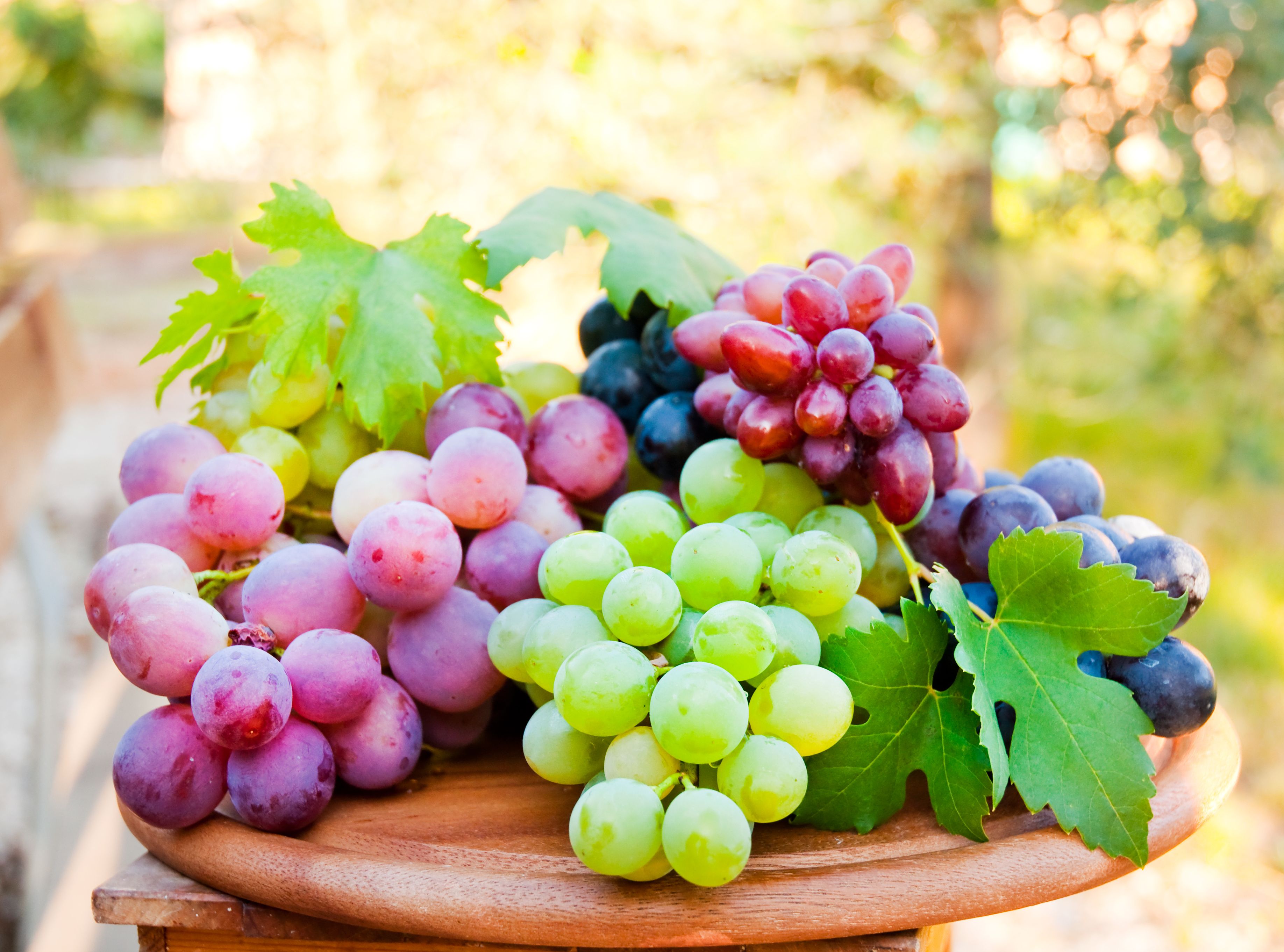 winogrona olej z pestek winogron do smażenia zdrowy tłuszcz olej do sałatek olej z pestek winogron na twarz na włosy naturalna pielęgnacja oleje roślinne kosmetyczne dieta kuchnia