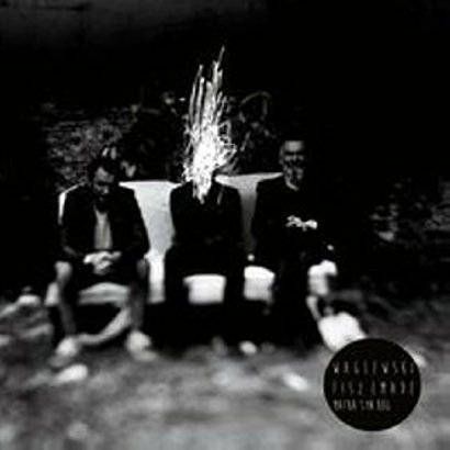 Album roku: Waglewski Fisz Emade – "Matka, Syn, Bóg"