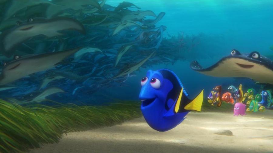 4. "Gdzie jest Dory?"